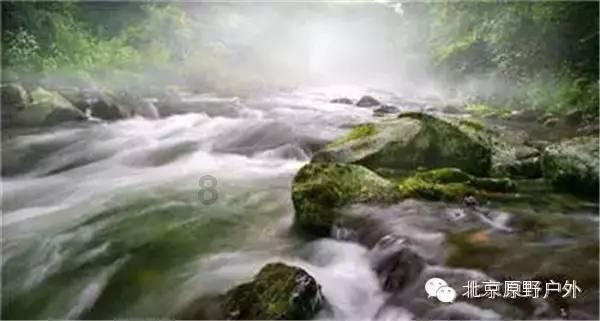探索问题答案,尽在家常饼怎么做又软又好吃?